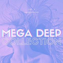 Mega Deep Collection, Vol. 2