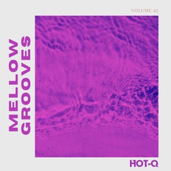 Mellow Grooves 045