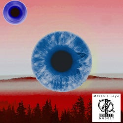 Eye main format