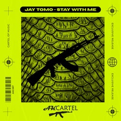 Stay with Me