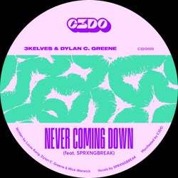 Never Coming Down (Extended Mix)