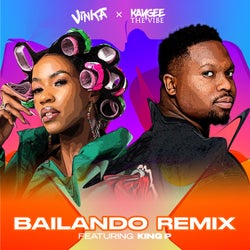 Bailando - Kaygee The Vibe Remix