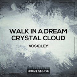 Walk In A Dream / Crystal Cloud