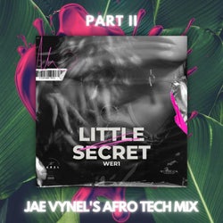Little Secret (Jae Vynel Afro Tech Mix) (Jae Vynel Remix)
