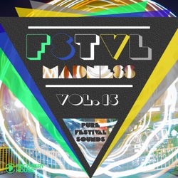 FSTVL Madness Vol. 15 - Pure Festival Sounds