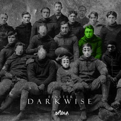 Darkwise