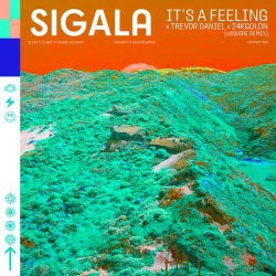 It's A Feeling (eSQUIRE Extended Remix)