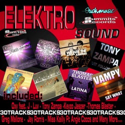Elektro Sound 30 (Elektro Sound Sum'hits Radio)
