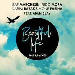 Beautiful Life - 2019 Remixes