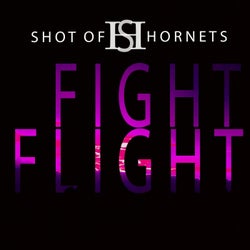 Fight Flight