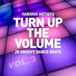 Turn up the Volume (20 Groovy Dance Beats), Vol. 3