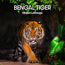 Bengal Tiger