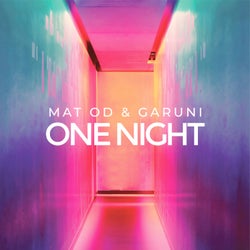 One Night (Extended Mix) (feat. Garuni)