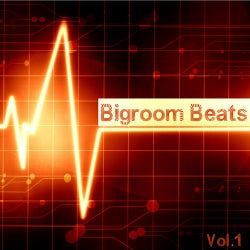 Bigroom Beats Vol. 1