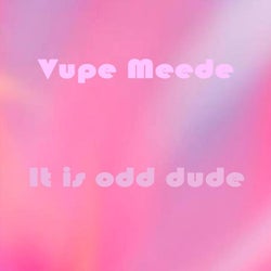 It Is Odd Dude