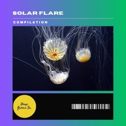 Solar Flare