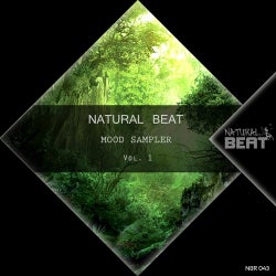 Natural Beat Mood Sampler, Vol. 1
