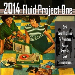 2014 Fluid Project One