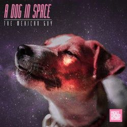 A Dog in Space