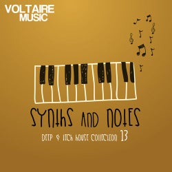 Synths And Notes 13