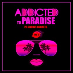 Addicted To Paradise, Vol. 3 (25 Groove Rockets)