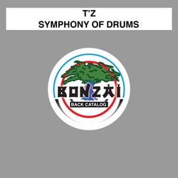 Symphony Of Drums