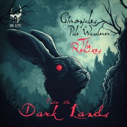 Collected: into the Dark Lands - Chronicles of the Pale Wanderer