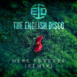 Here Forever - (Remix)