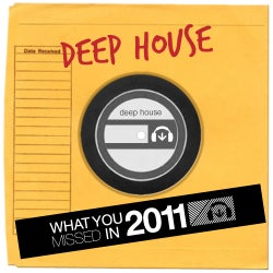 What You Missed 2011 - Deep House
