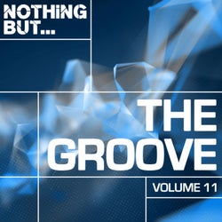 Nothing But... The Groove, Vol. 11