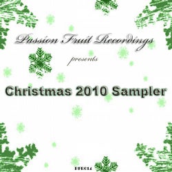 Christmas 2010 Sampler