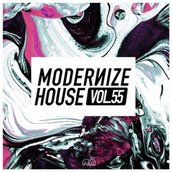 Modernize House Vol. 55