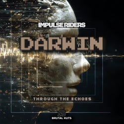 Through The Echoes