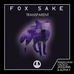 Transparent The Remixes