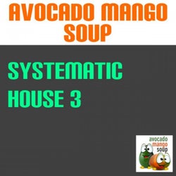 Systematic House, Vol. 3