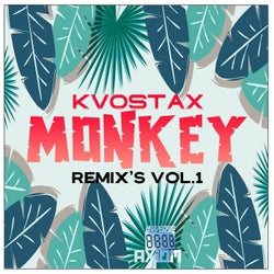 Monkey Remix's Vol.1