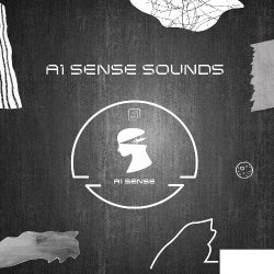 A1 Sense Sounds - Our Path To A Bright Future