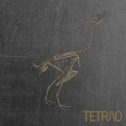 TETRAO V /  Volumen II