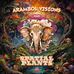 Arambol Visions