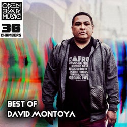 Best Of David Montoya
