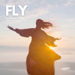 Fly