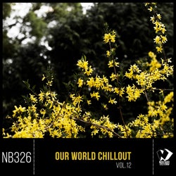 Our World Chillout, Vol. 12