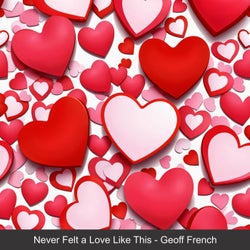 Never Felt a Love Like This