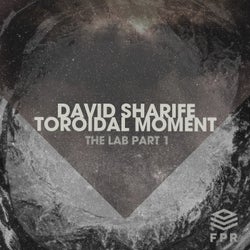 Toroidal Moment - The Lab Part 1