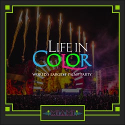 Miami Club Picks 2016: Life In Color