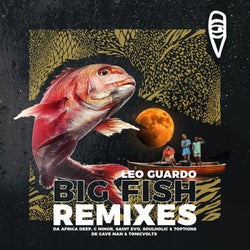 Big Fish Remixes