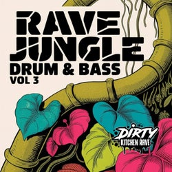 RAVE / JUNGLE / D&B Vol 3