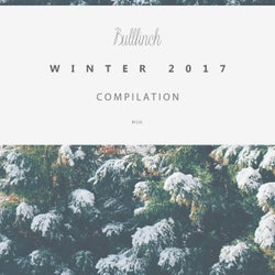 Bullfinch Winter Compilation 2017