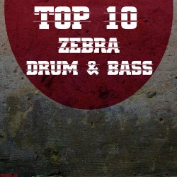 Top 10 Zebra Drum and Bass