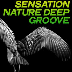 Sensation Nature Deep Groove (The Best House Music Selection 2020)